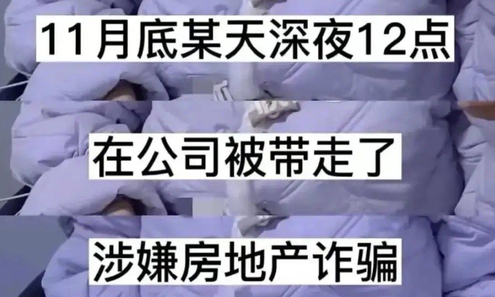 王丽坤|王丽坤被“富豪”丈夫连累，事业或凉凉！有钱女星为何爱找富商？