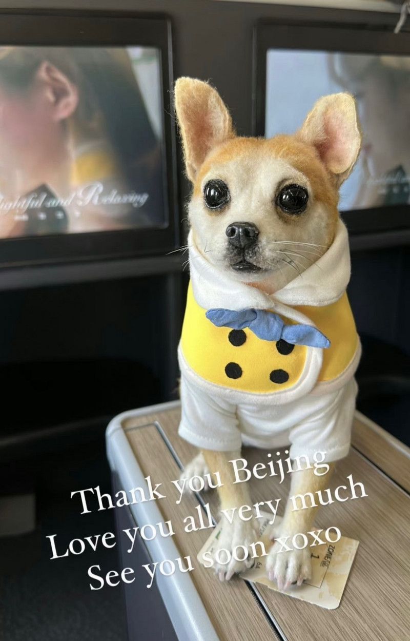 台媒曝萧亚轩新欢！荷兰富二代比她小10岁，其房间有女的专属玩偶