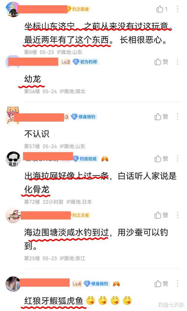 |钓鱼多年首次见！山东男子钓获蛇形怪鱼，疑搭车南水北调入侵北方