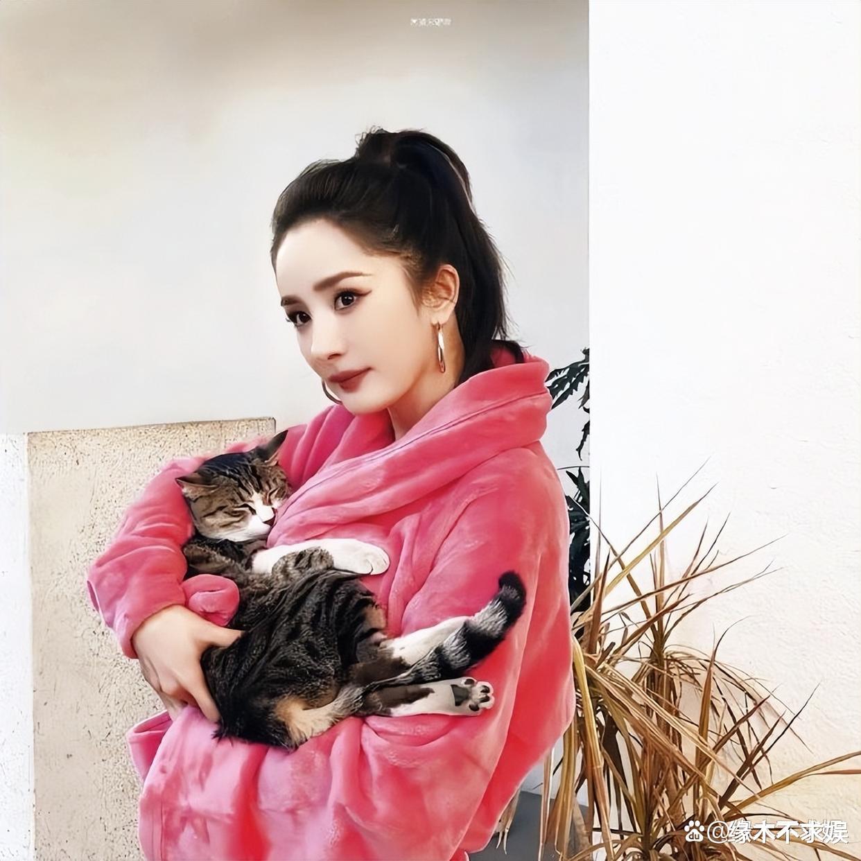 杨幂太壕气！新年礼盒价值超三千，嘉行礼包被指太寒酸！