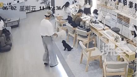 女子说想吃狗肉火锅，男同事就将小狗捉了摔死