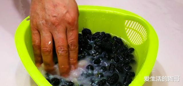 桑葚|4.20号谷雨，无论多忙，记得吃1肉，2果，3菜，应季而食身体棒