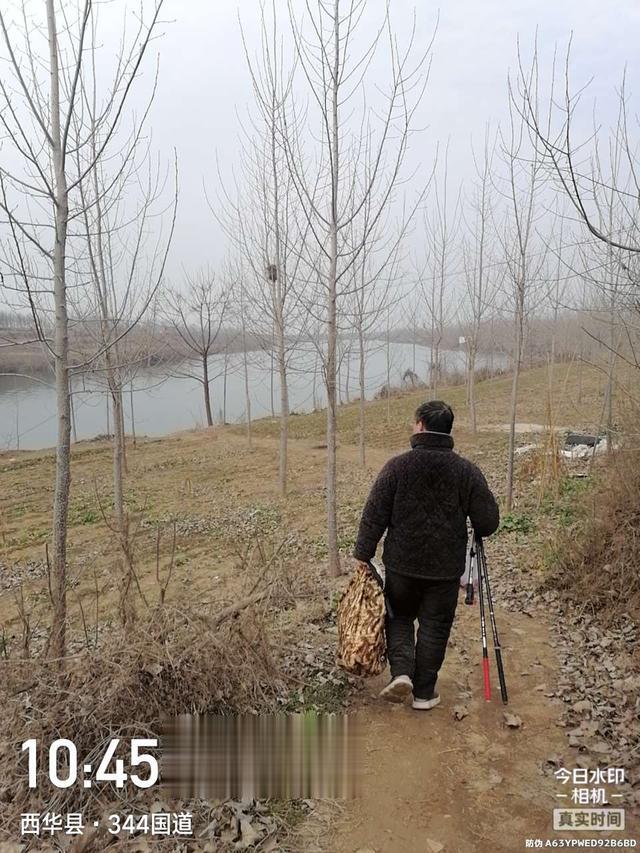 |舍远求近，连上两条大板鲫