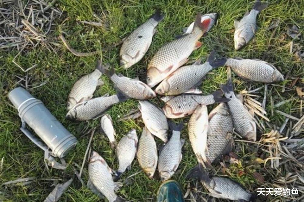 冬季野钓,连竿关键尽在10个“小”,百试百灵