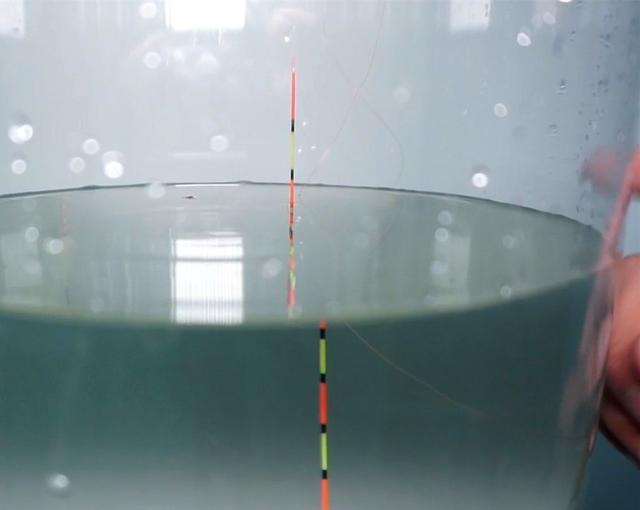 乌鲁木齐|子线支撑力还能影响灵敏度？十年前早有结论，别被漂桶给骗了