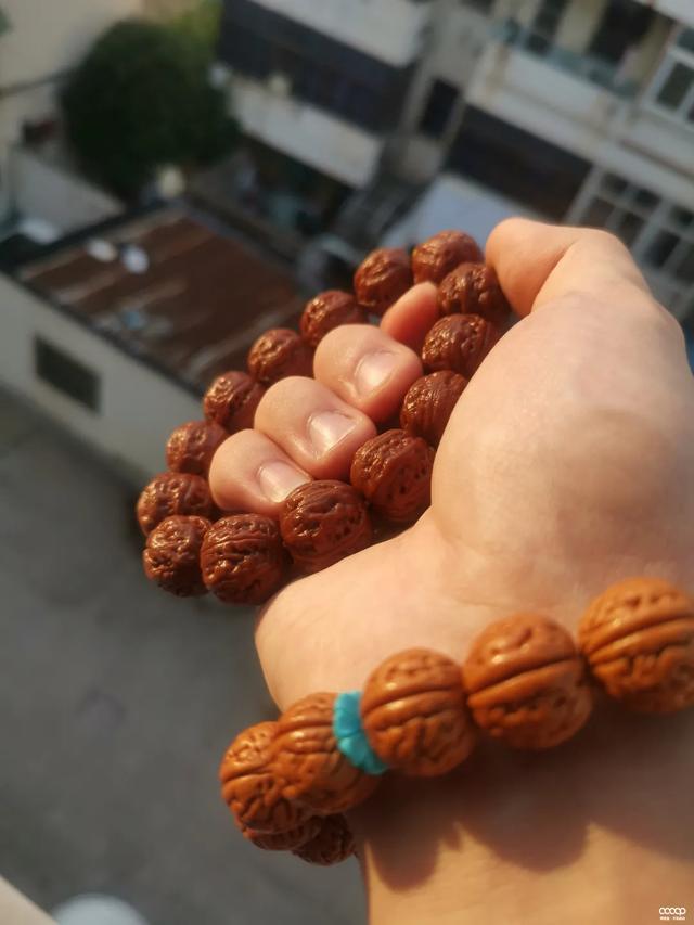 核桃|手串能不能下水洗？他这样玩了9年，没有盘不红的串儿