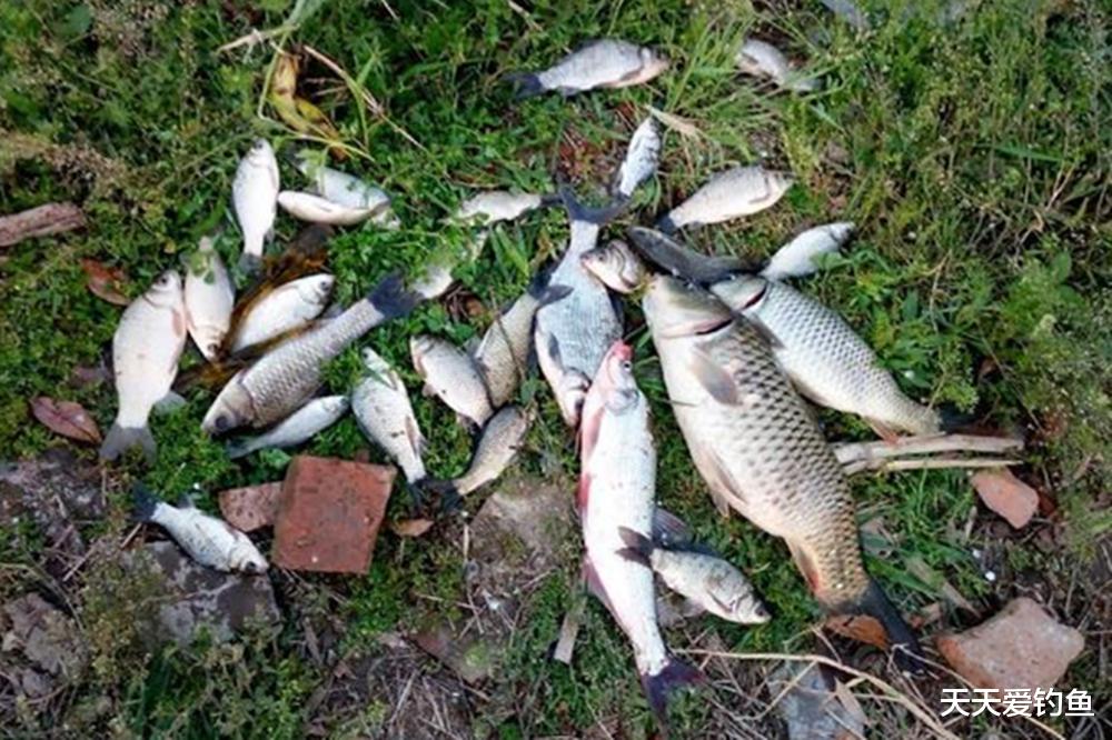 野钓久坐没鱼咬钩,只需做4个调整,大鱼吃口马上就到