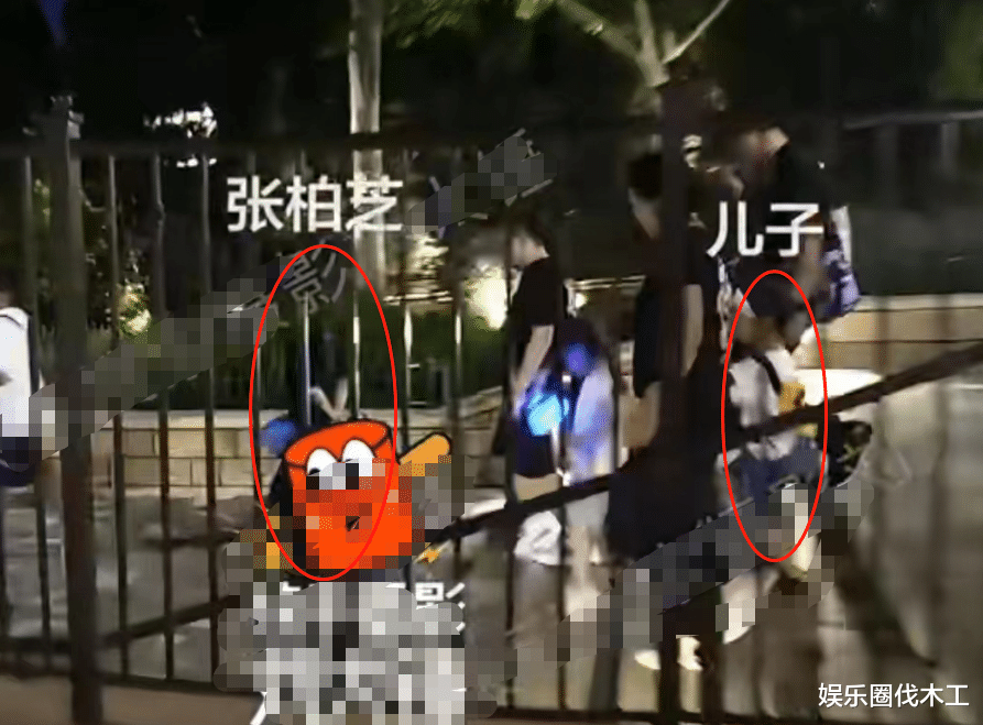 张柏芝三胎儿子罕现身,保姆保镖全程跟随,被曝停工争夺抚养权