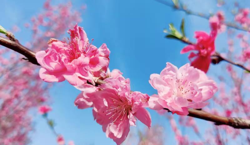 |酒局上,什么样的人是“明白人”?