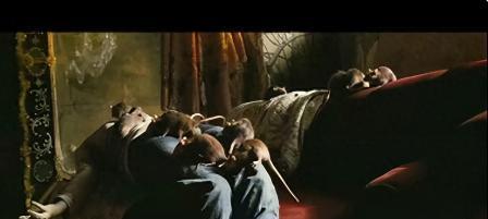 事实证明，被“导演太太团封杀”的张静初，早已走上了另一条大道