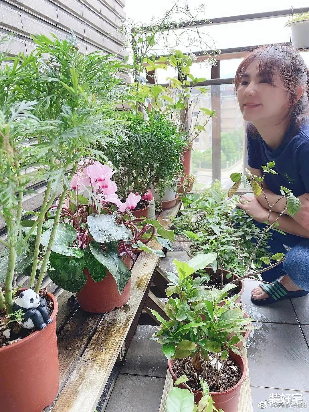 SHE再合体!她竟然变成了这样?粉丝:看完她的上亿豪宅,懂了