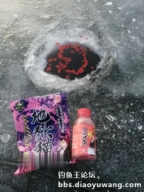 地狱猫冰上漫步，鲫鱼妹召之即来