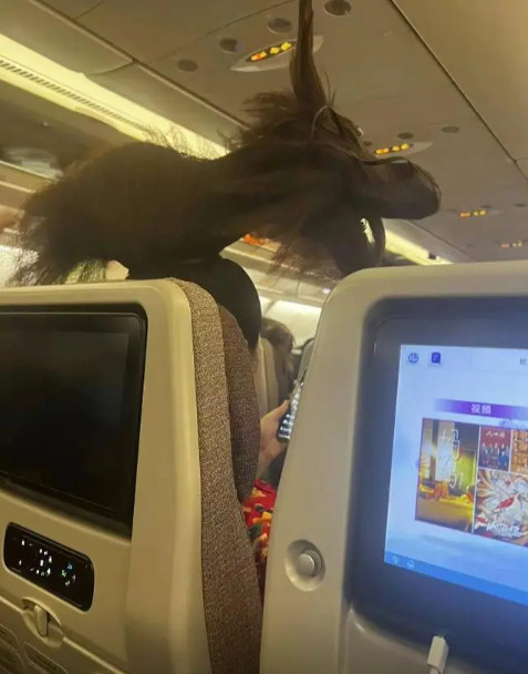 时尚界的新宠?生肖龙发型在飞机上引起轰动,你怎么看?