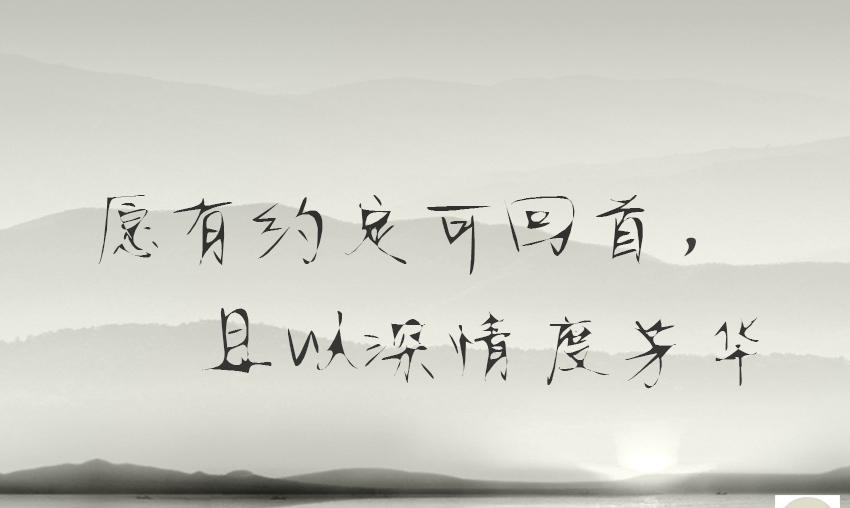 王菲|愿有约定可回首,且以深情度芳华......