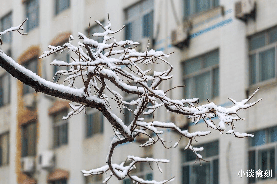 |“冬天冷不冷,初一早看天”,明日十一月初一,如何看?春节冷吗