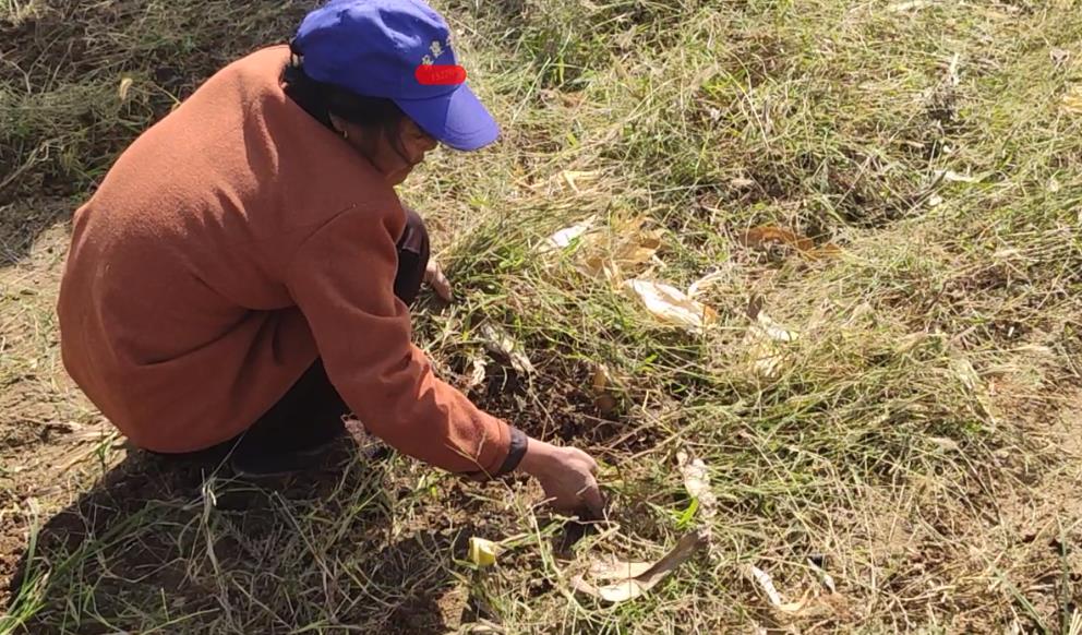 农民的社会地位什么时候可以变得高尚起来？