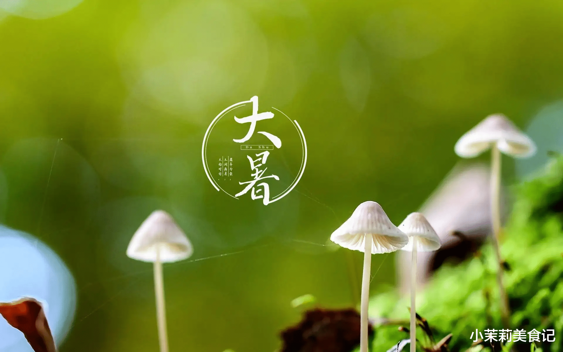 馒头|“大暑吃3草，一年无病扰”，指哪3草？7月23大暑，早了解早准备