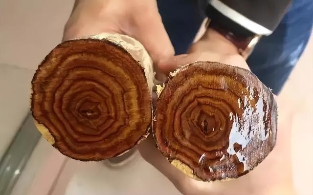 海黄是油梨好还是糠梨好？各有千秋！