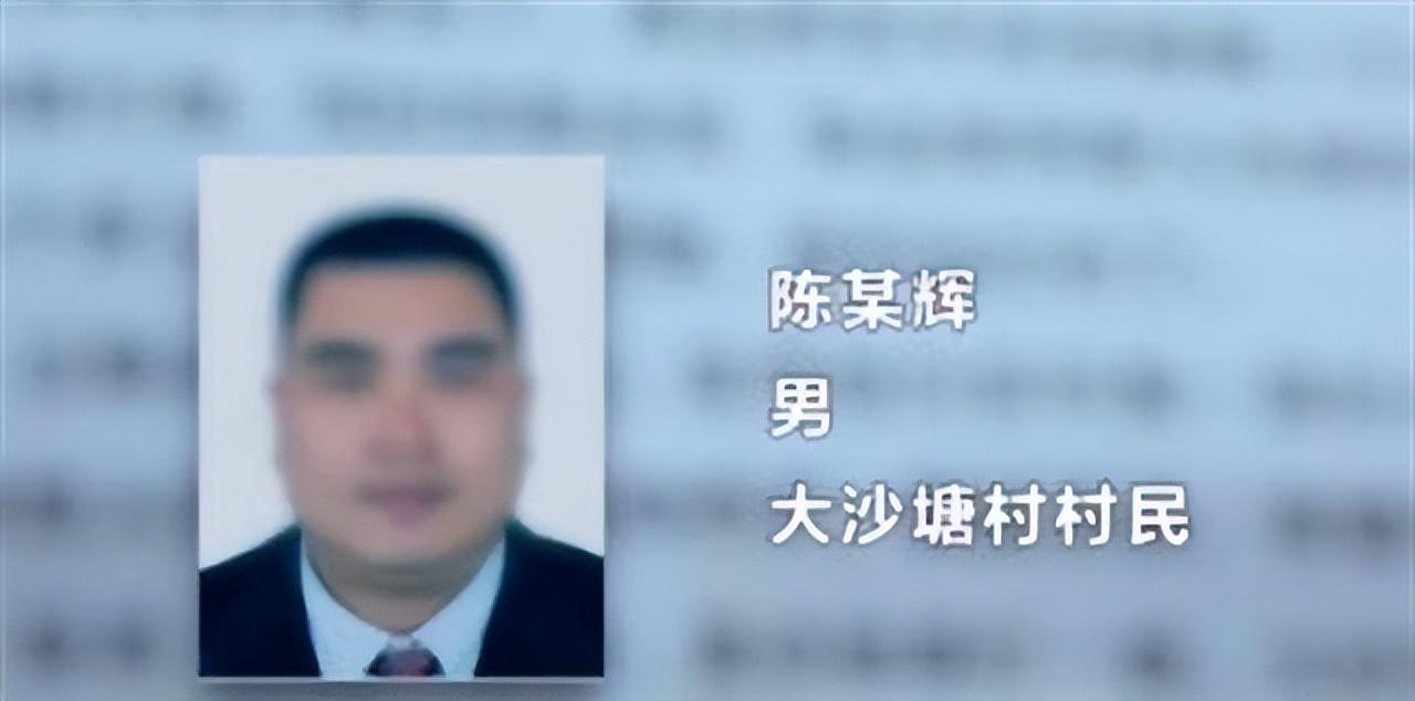 广东清远"村霸"陈志辉:每天最低收入50万,财产估值超10亿元 - 社会