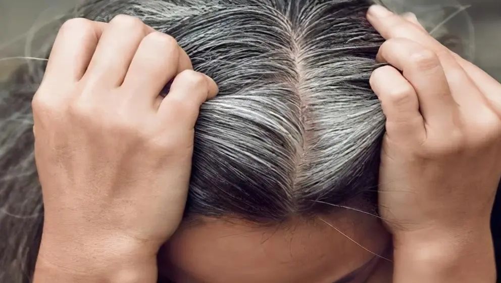 是否长寿看头发就能知道？四个特征对照一下，看看你有吗？