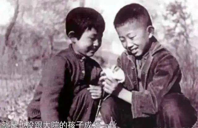 陈瑾|通透的陈瑾:手握2个视后1个影后,从不接代言,与哥哥相伴终老