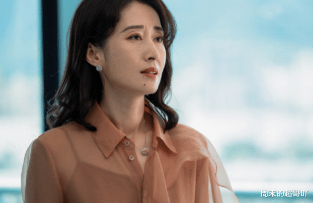 |《女士的品格》：讲述几个职场女性，他们在感情和工作遇到的问题