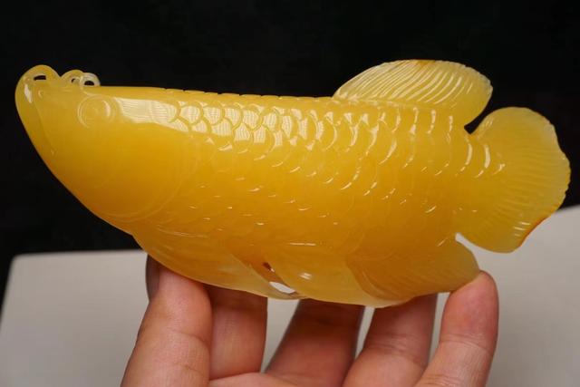 养的金龙鱼驾崩了，就用蜜蜡雕刻一条，精力解放90%