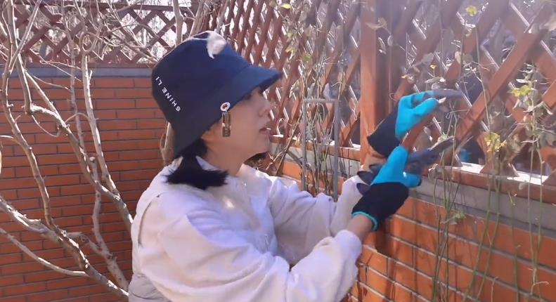 李思思|李思思:全家一起打理小花园,结婚12年首次让其神秘老公出镜