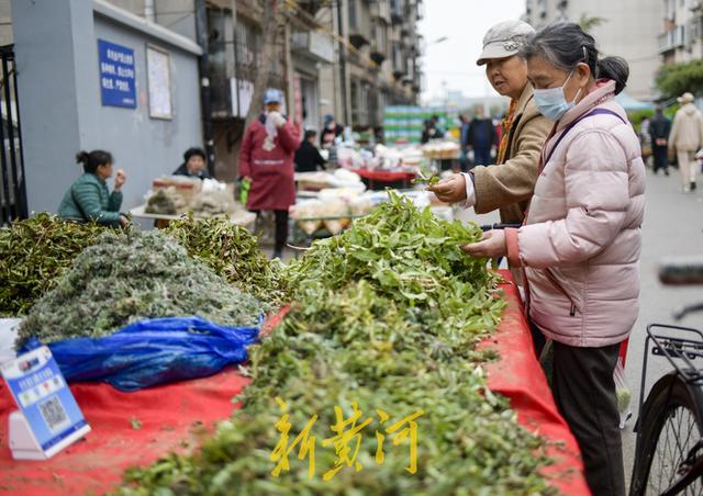 野菜|“春天限量版”野菜上市，最贵的每斤售价15元