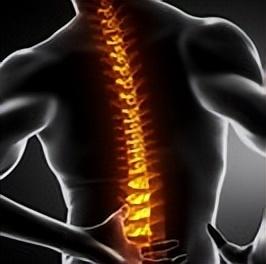 脊柱受伤,不可小觑!网红健美运动员为何因一次深蹲而丧命的?