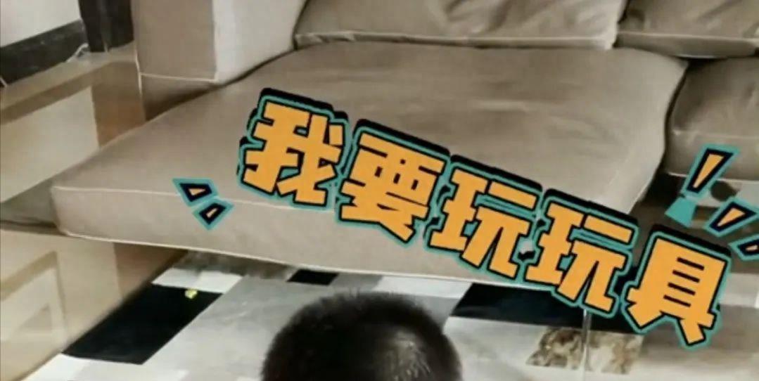 |被“好声音”拖累，华少资产被扒，细看身家，这些年钱是真没少赚！