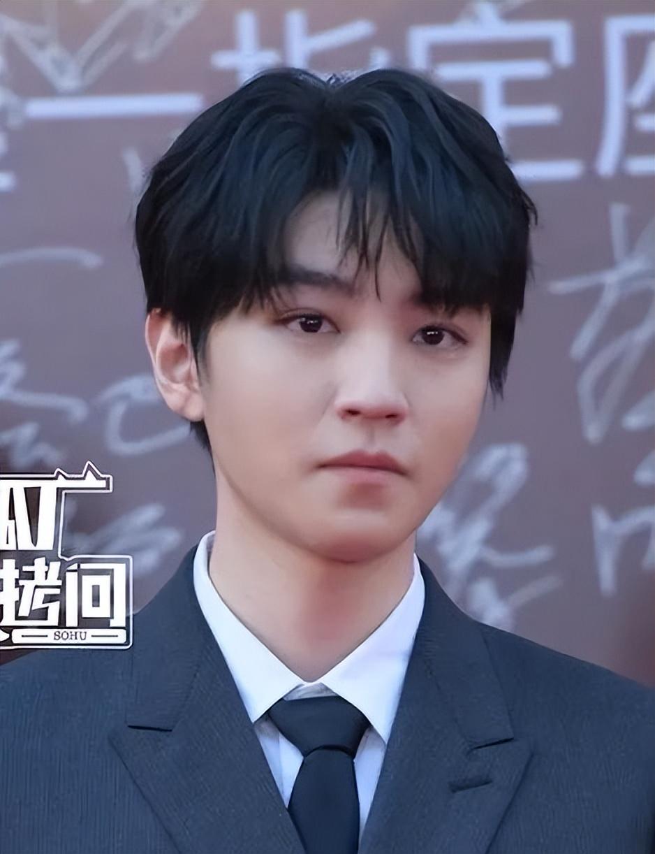 |华表奖男星怼脸生图:全部是普男,苏有朋和韩庚发福,王一博脸肿