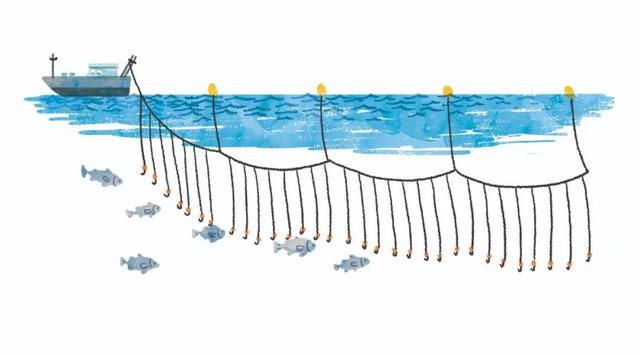 为何钓了8千多斤鱼,被钓鱼人举报后,判刑还被罚款40余万?