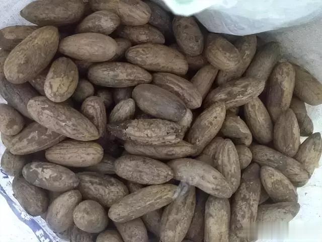 艺术品|没钱？有双手就够了！“穷玩”同样玩出境界