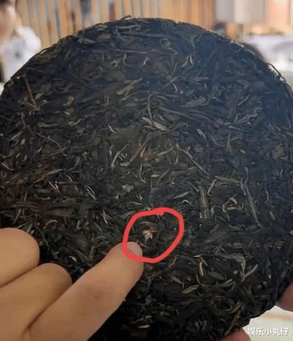 小燕子|移情别恋?李亚鹏斗茶大赛获0分后,带女助理游玩,已与娇妻分居