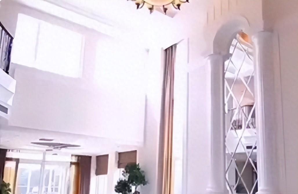 据传李湘身家已达五千亿?女儿保费直接十亿,不要太离谱!