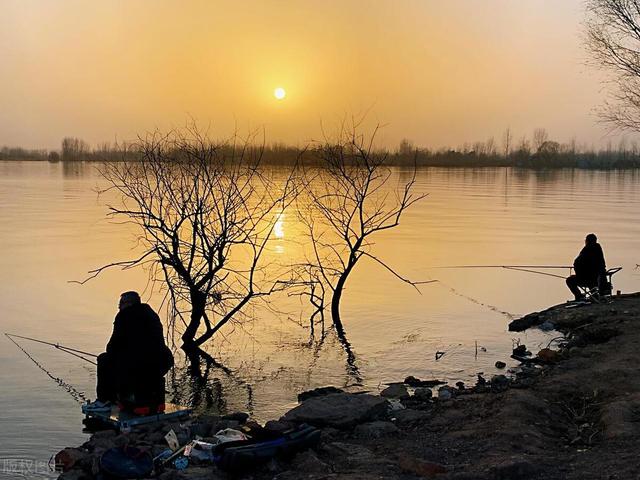 立夏|今日立夏,钓鱼思路调整好了,才能更适应节气变化,更好上鱼