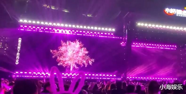 小杨哥花巨资开演唱会，虽多位明星演唱翻车，但小杨哥还是赢麻了