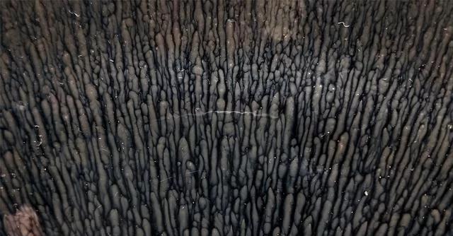 建盏|建窑建盏就是宋代茶文化的体现 黑釉瓷器为何风靡宋朝?