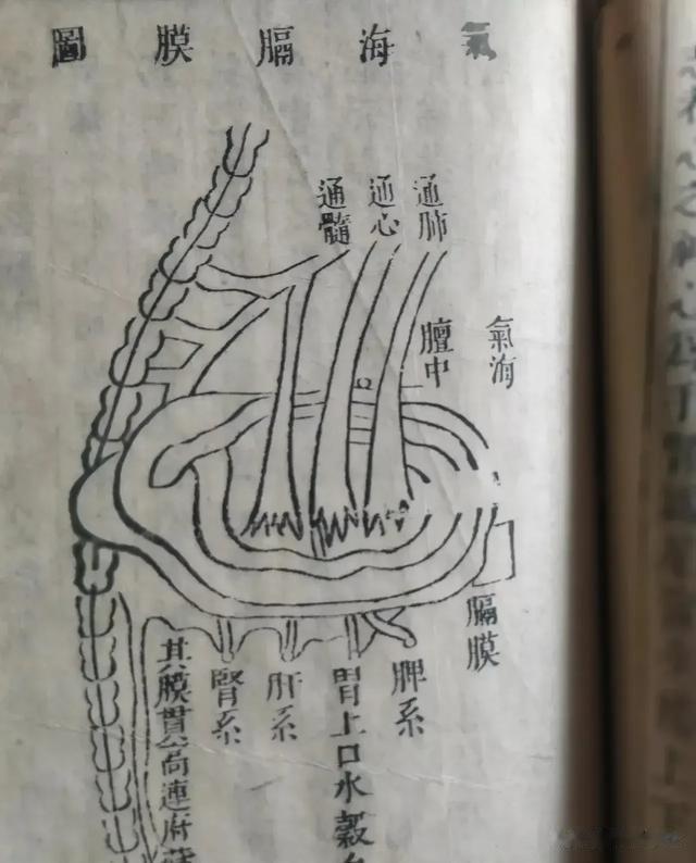 中医里有很多未解之谜,10年琢磨不透,这几张图能看懂的都是高人