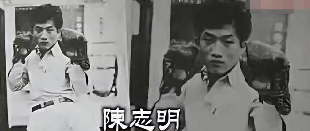 刘嘉玲“艳门照”曝光,掀起香港娱乐圈大暴动,背后凶手浮现