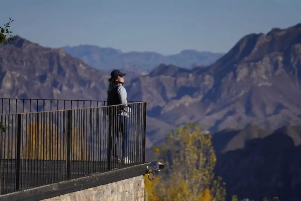 裁员潮下的中年失业危机