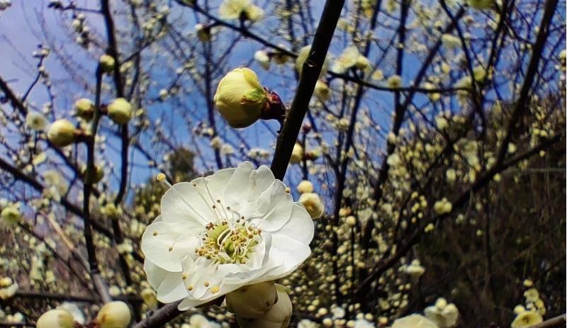 |最近的十点感受,你可能也遇到过