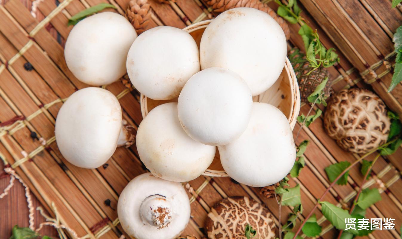 食材|钾含量是番茄的17倍！它是公认的“草原明珠”营养丰富，保护肝脏