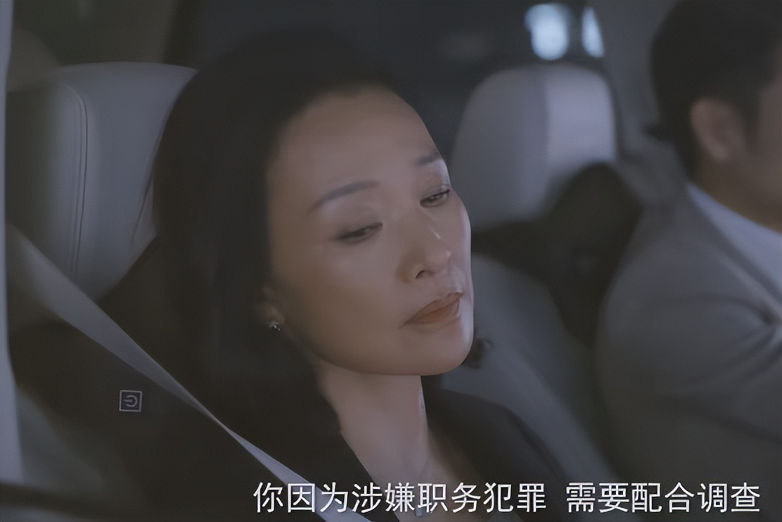 《问心》空降央视！躲过赵又廷毛晓彤，却被62岁的女二号给惊艳了