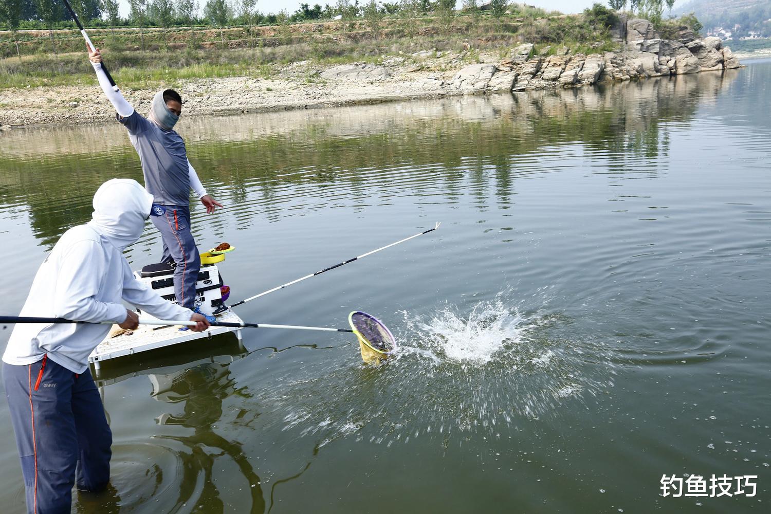 诱鱼剂的3个正确分类,弄清楚这些才能真正用好诱鱼剂