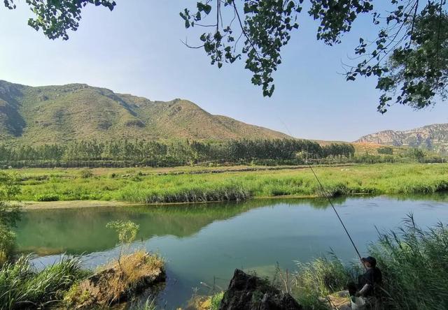 鲫鱼|野钓:鲫鱼的集中位置如何找？钓它需要注意什么？用什么饵钓？