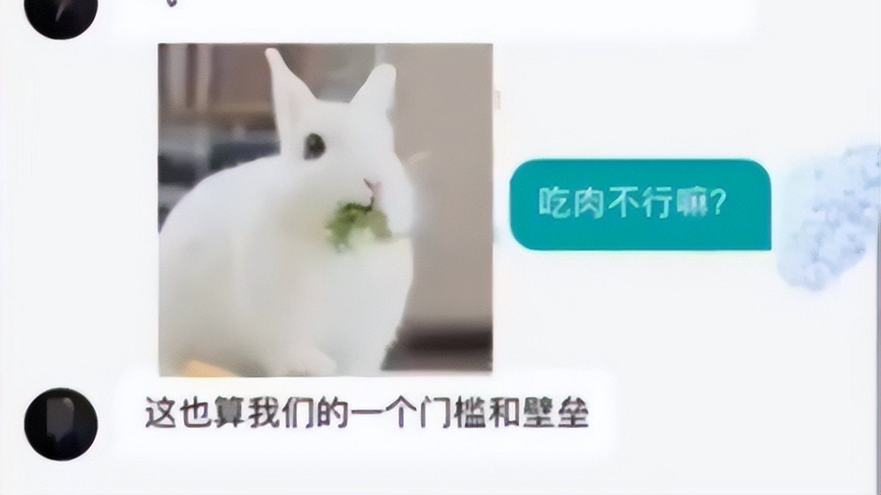 招聘|公司招聘现“奇葩”规定，要求全员吃素遭诟病，硬气回应再掀波澜