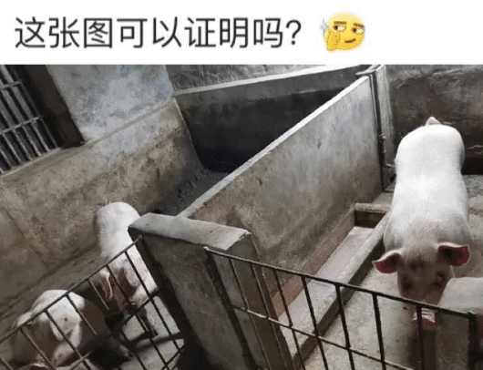 “一女子脱了球衣打篮球遭吐槽，男生：我们没法安心比赛了”
