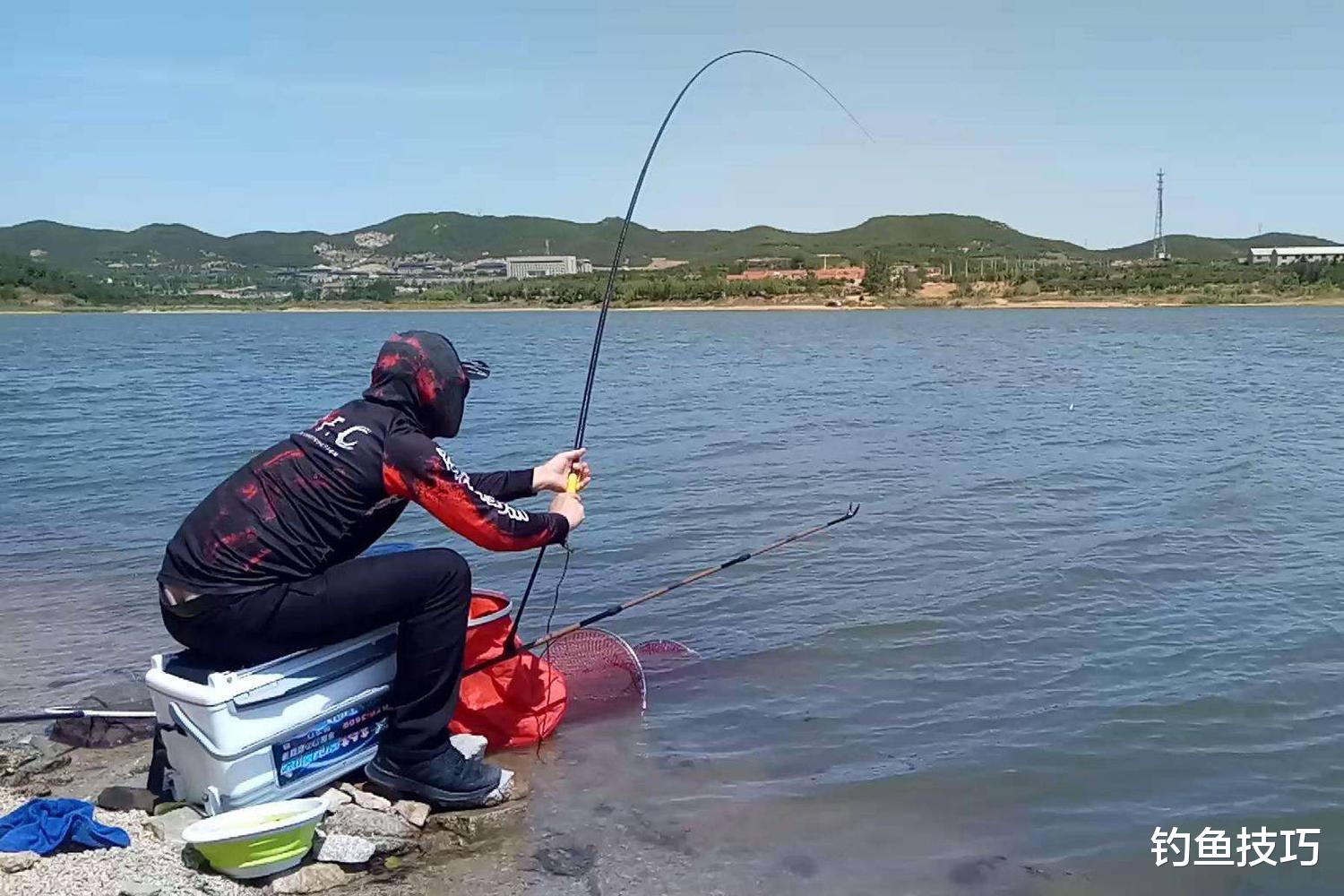 鲤鱼|春季钓浅滩的4个秘诀,春季钓浅滩没有错,但是必须掌握要点